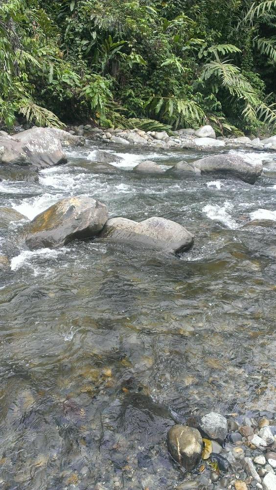 Kinabalu Poring Vacation Lodge Kampung Poring Eksteriør bilde